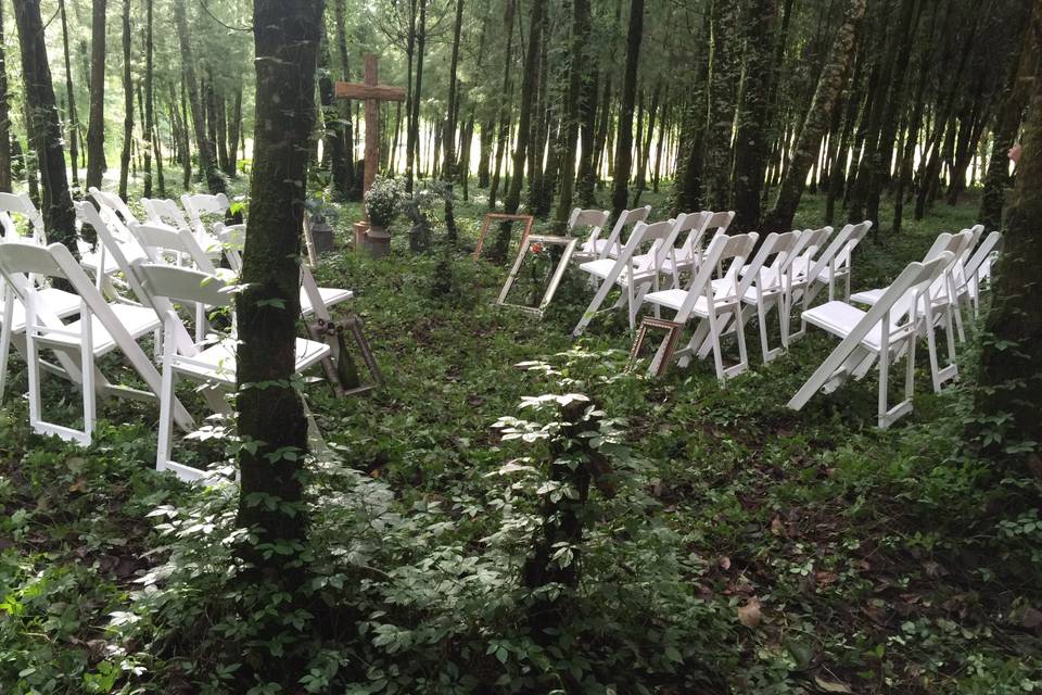 Mi boda en el bosque