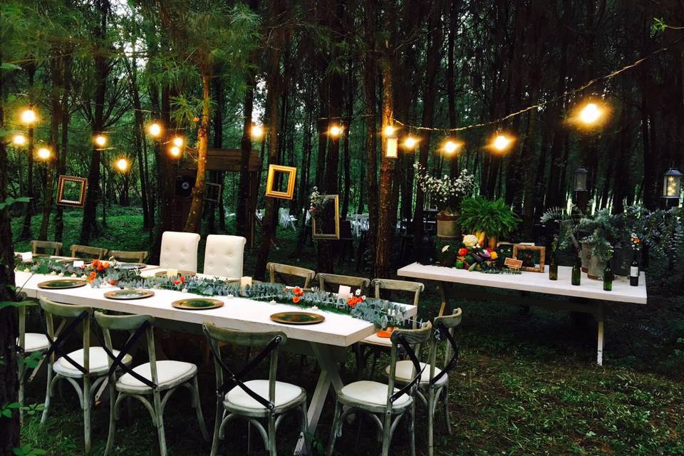 Bosque para bodas