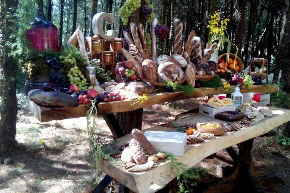 Banquetes en el bosque