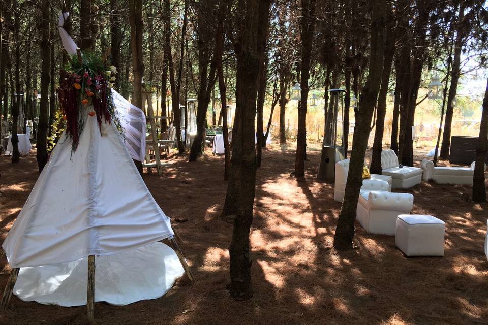 Mi boda en el bosque