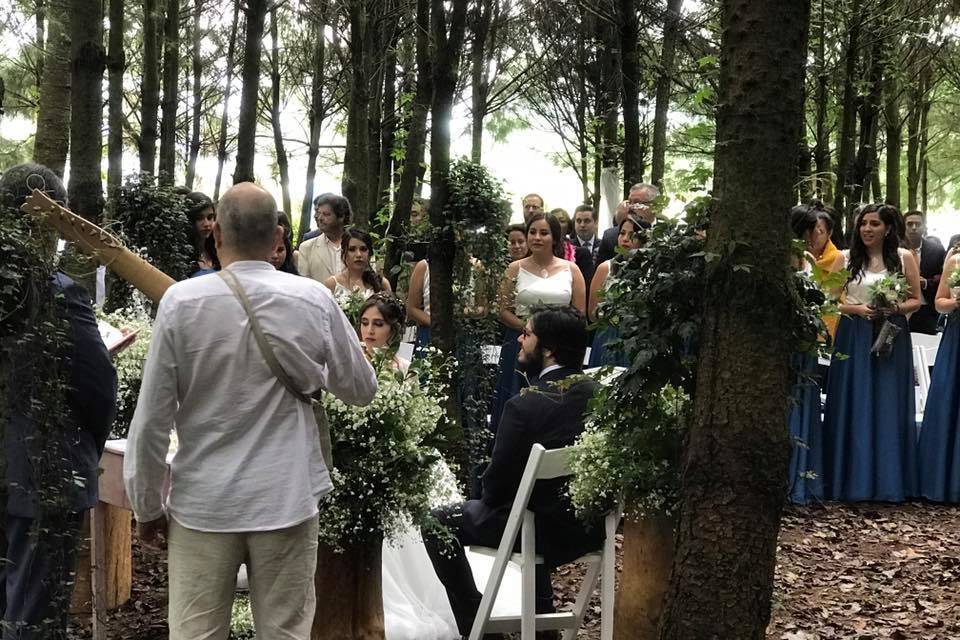 Ceremonia en el bosque