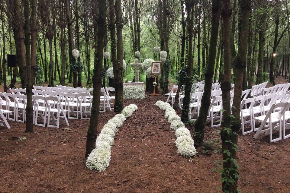 Bosque para bodas