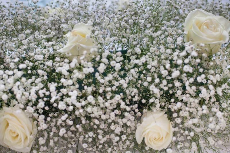 Boda baby & rosas blancas