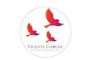 Logo Vicente García