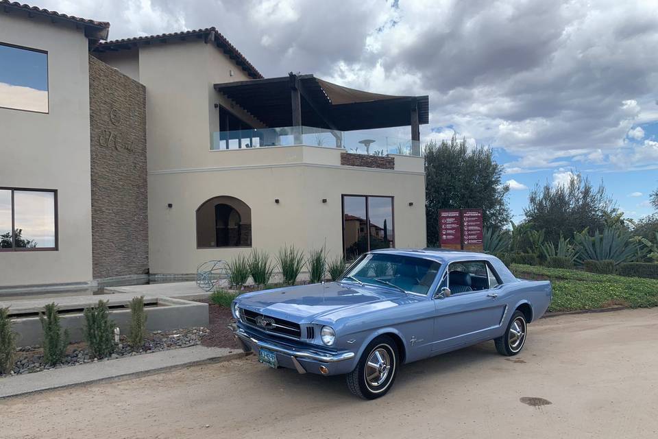 Ford Mustang 1965