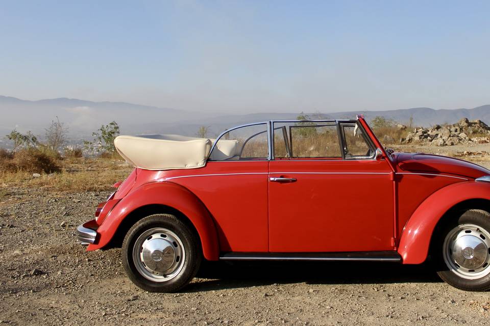 VW Cabriolet 1969