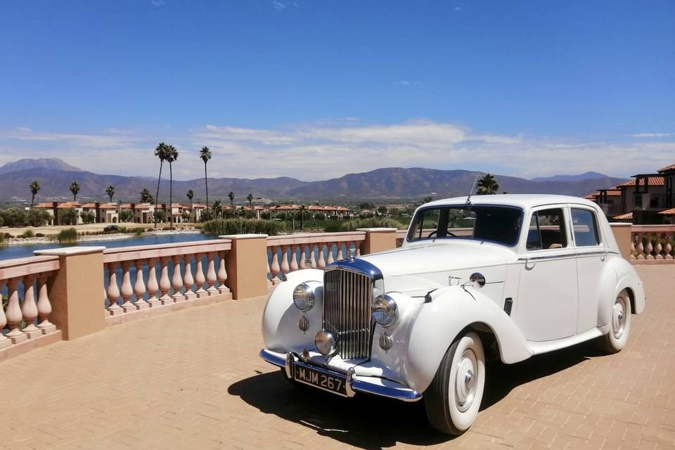 Bentley 1953