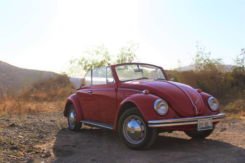 VW Cabriolet 1969