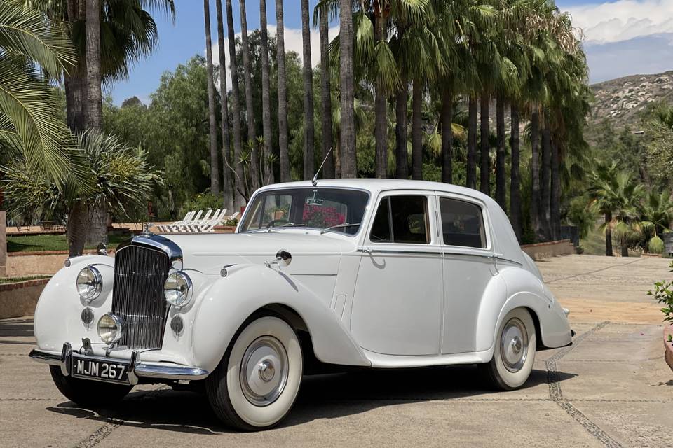 Bentley 1953