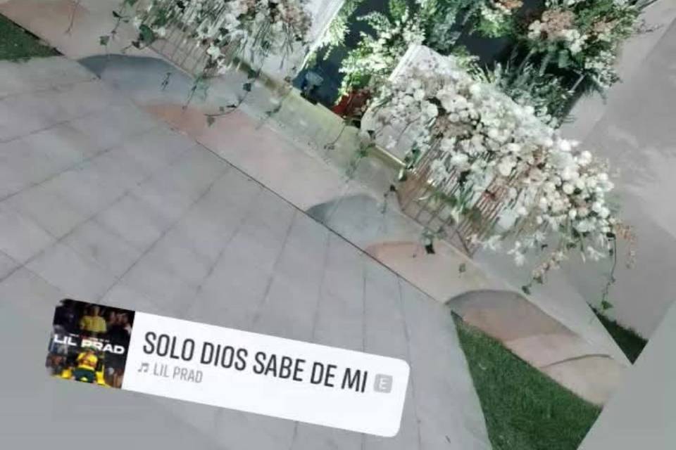 Estrado de novios con escalone