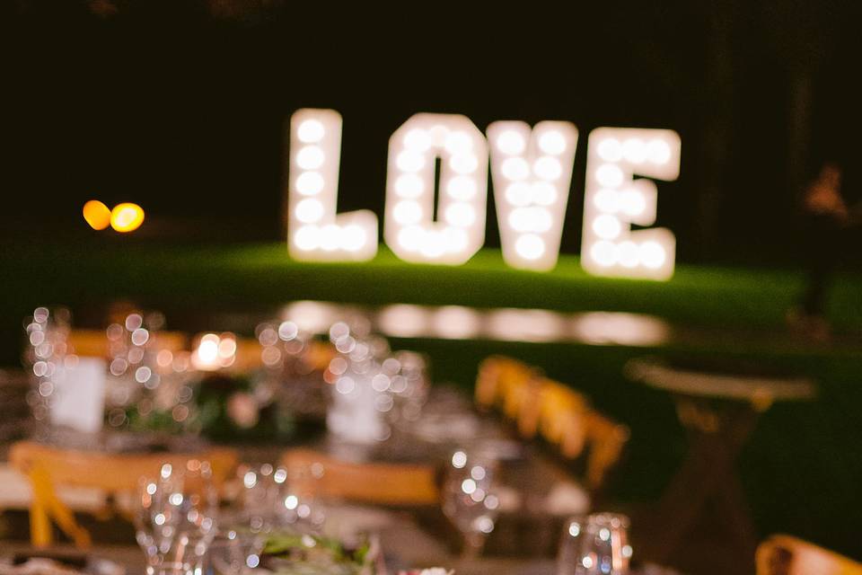 Boda FW