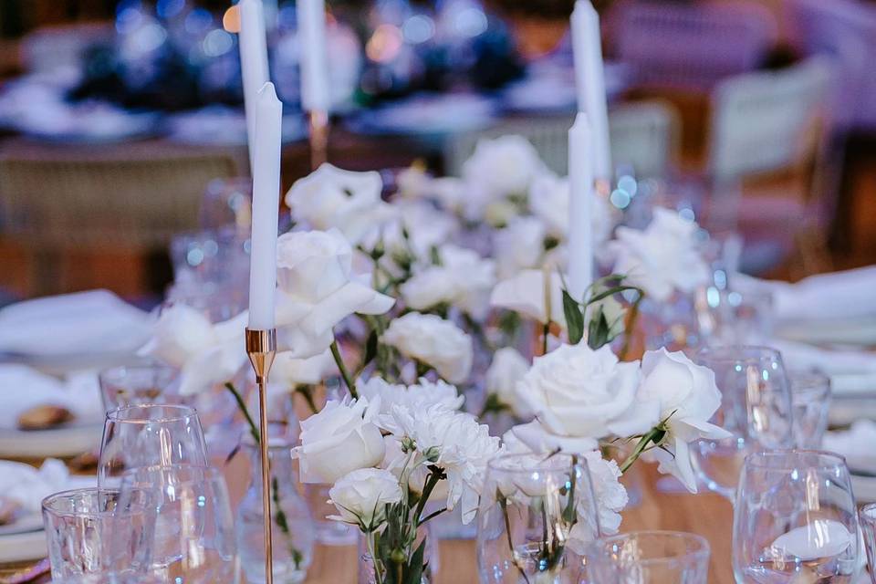 Boda FW