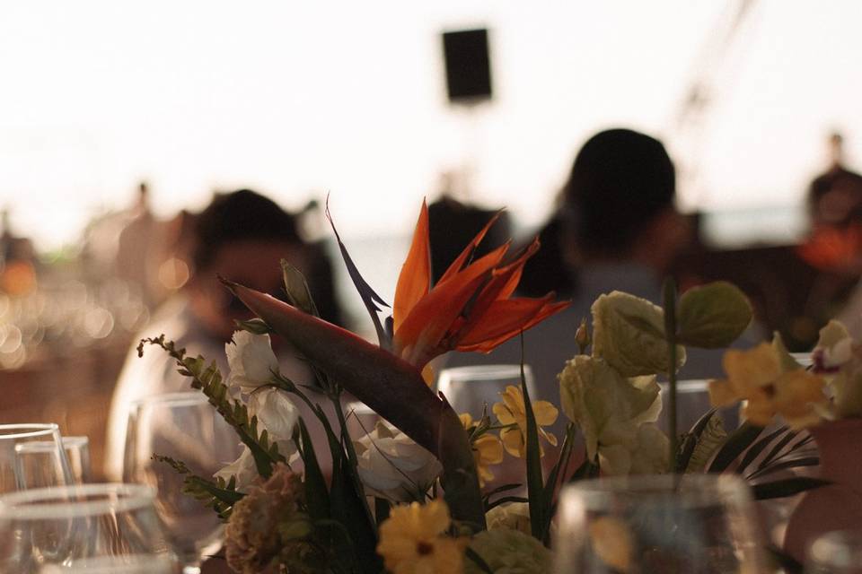 Boda FW