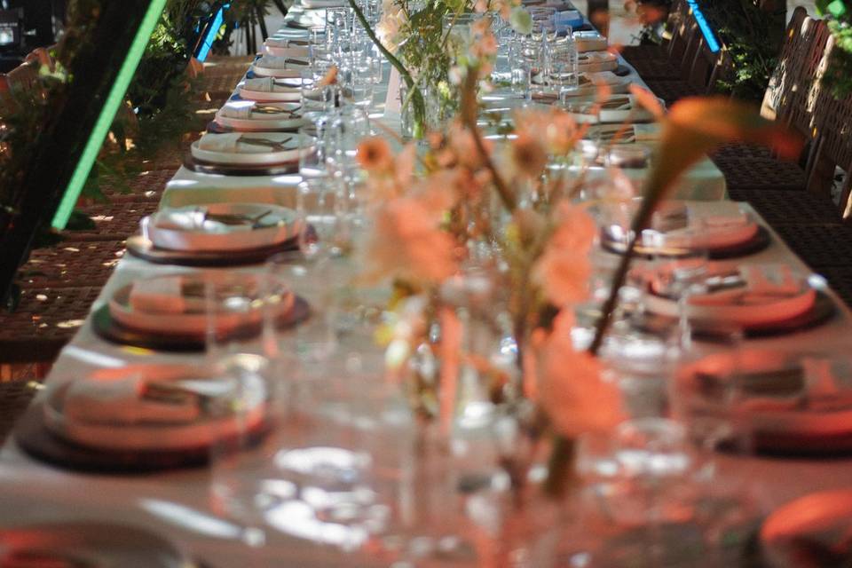 Boda FW