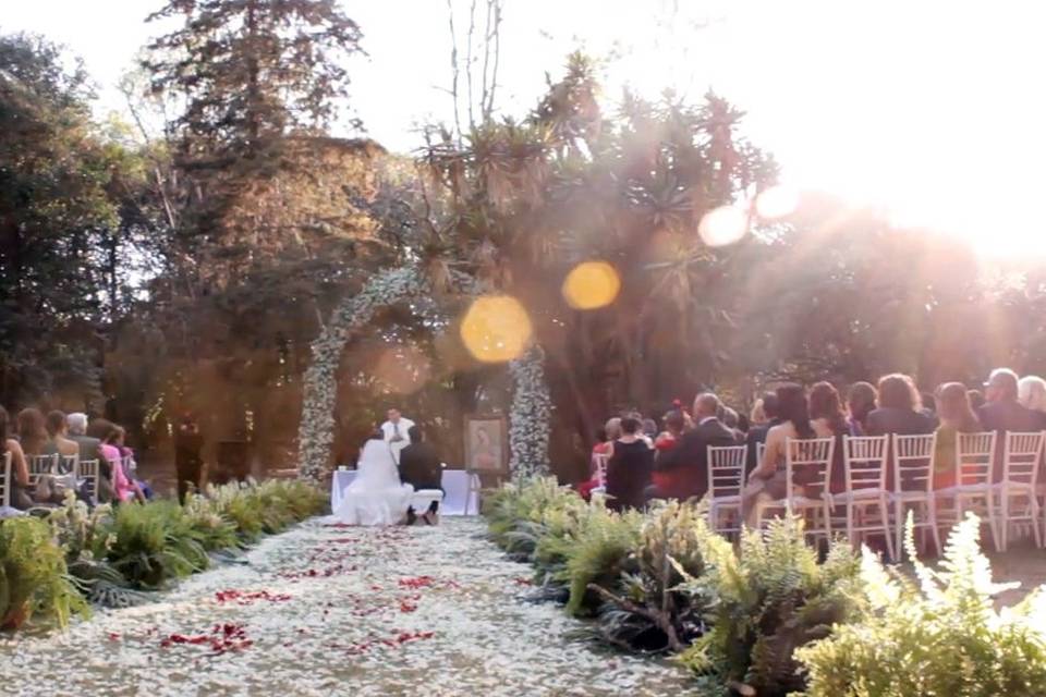 Cinematografía de bodas