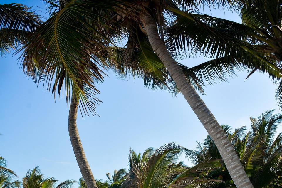 Sesión, La Luna Tulum