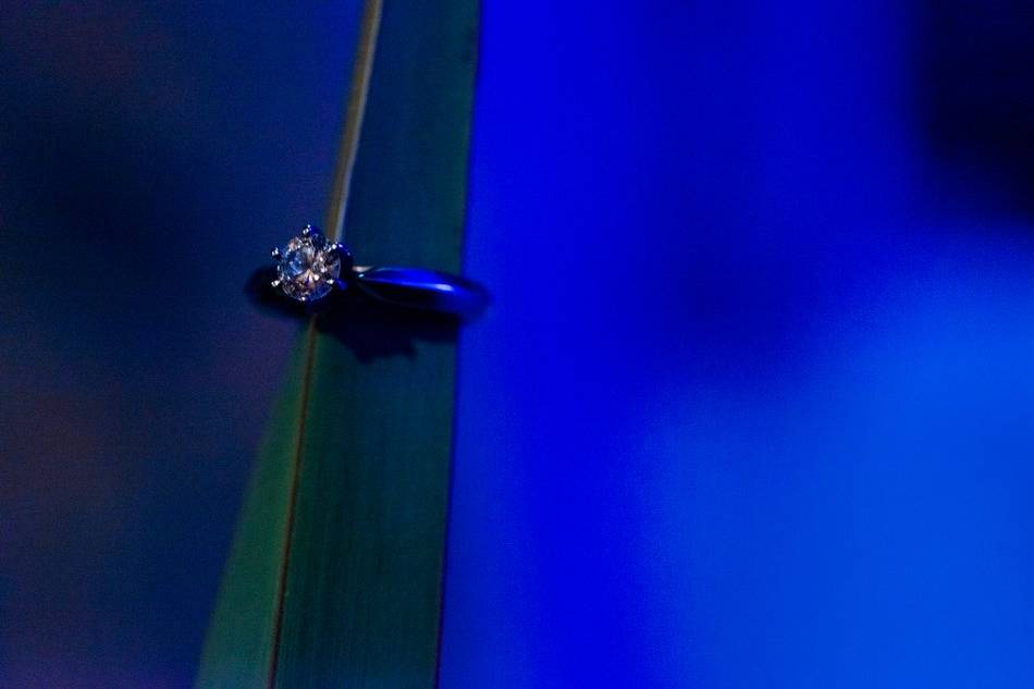 Jex Flores Photographer