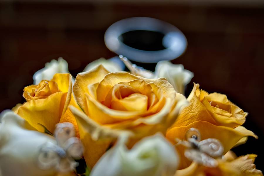 Boda ecológica morelia