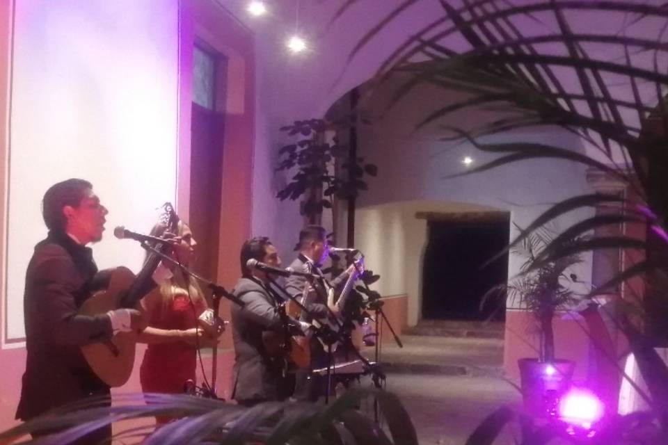 Piel canela