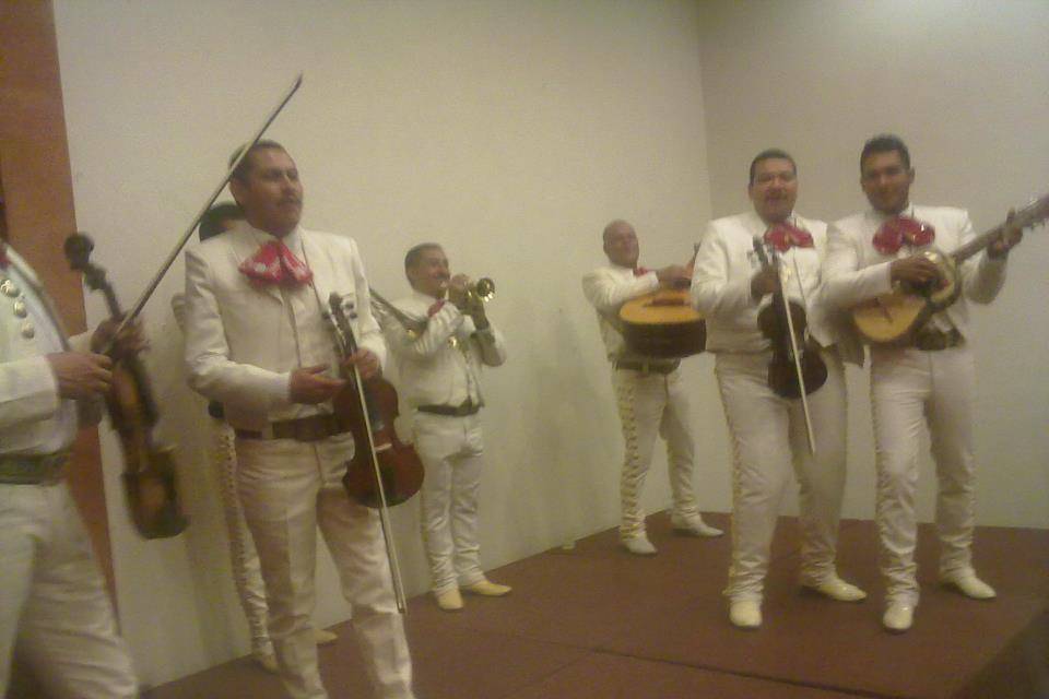 Mariachi Centenario