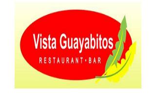 Vista Guayabitos logo