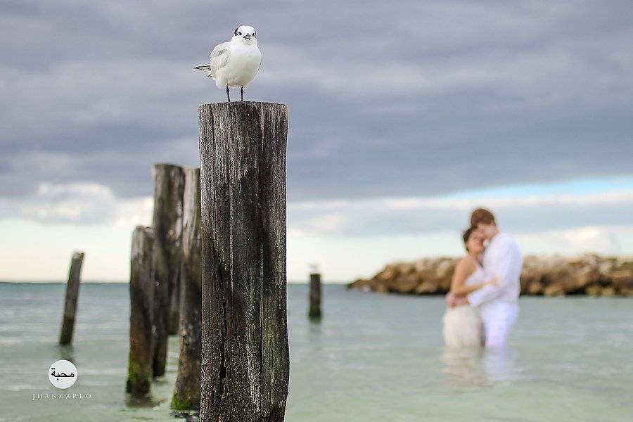 Trash the dress