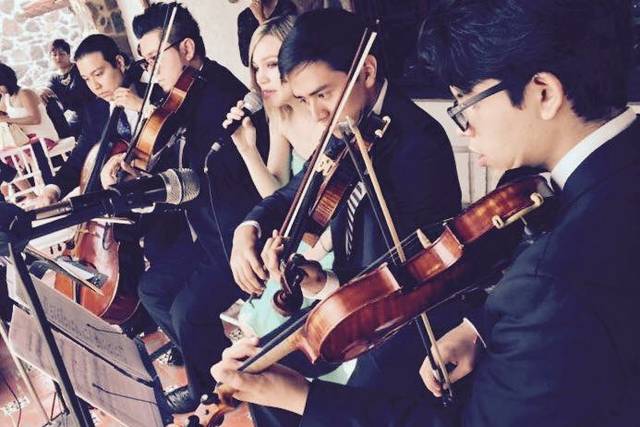 Ave María Coro-Violines-Orquesta