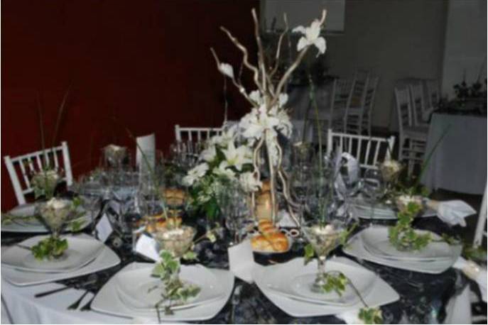 Zoo Eventos