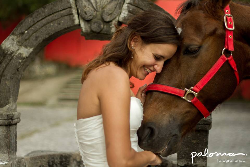 Trash the dress