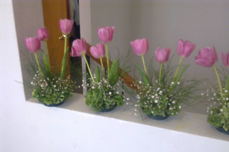 Centros tulipanes sencillos
