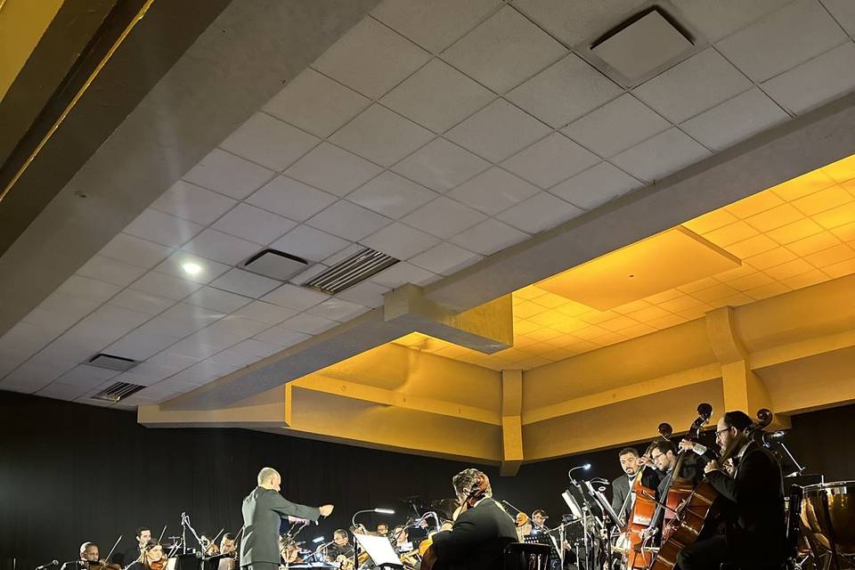 Orquesta. Recepción Boda