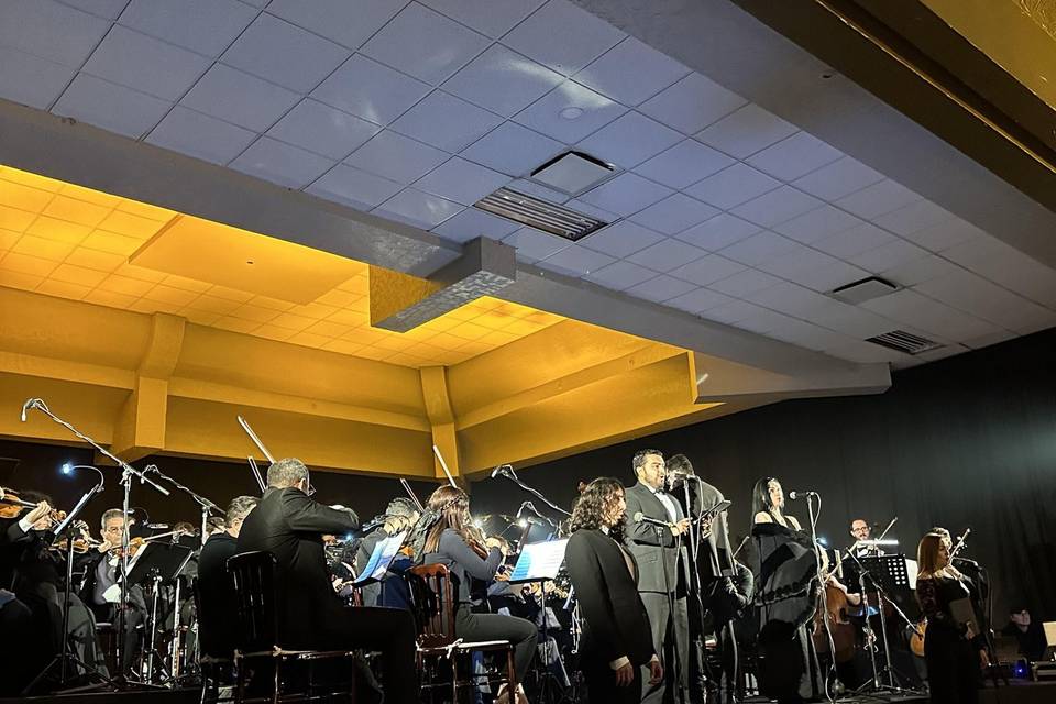 Orquesta. Recepción Boda