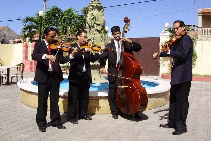 Quinteto de cuerdas Pizzicato