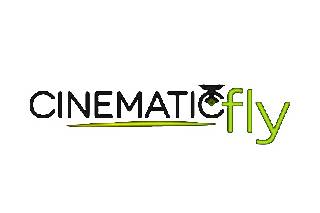 Cinematic Fly