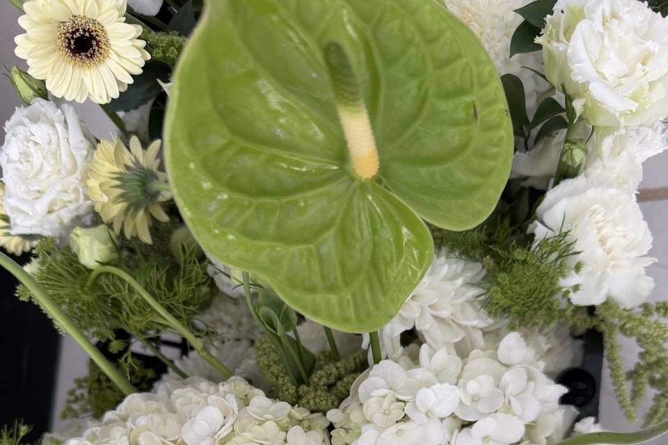 Elegante