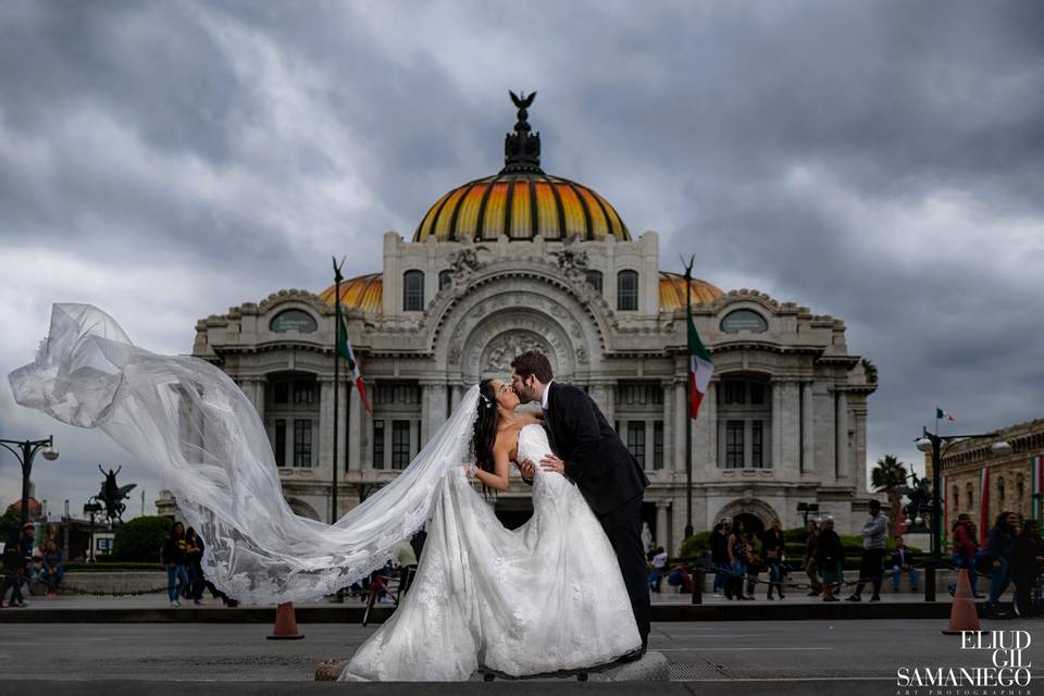 Boda en bellas artes, cdmx