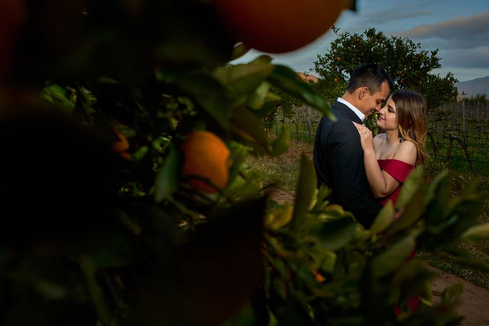 Valle de Guadalupe