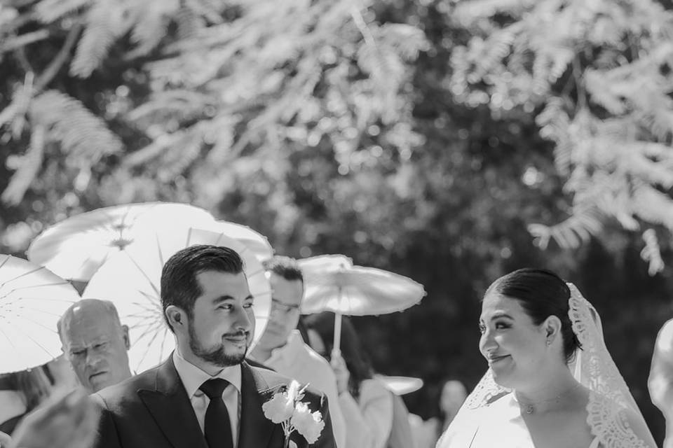Grupo Alaia / Rancho Pico
