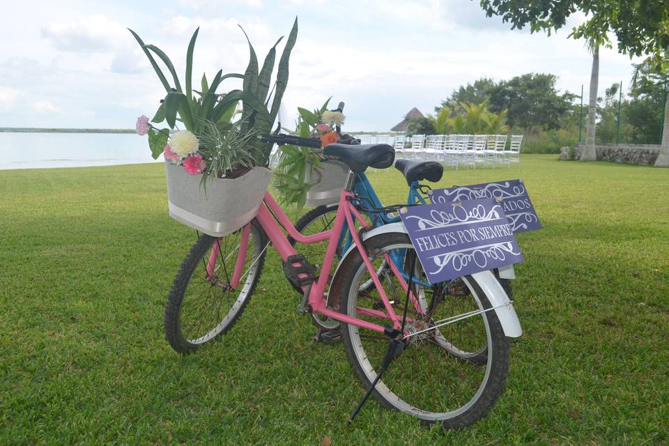 Bicicletas con plantas vivas