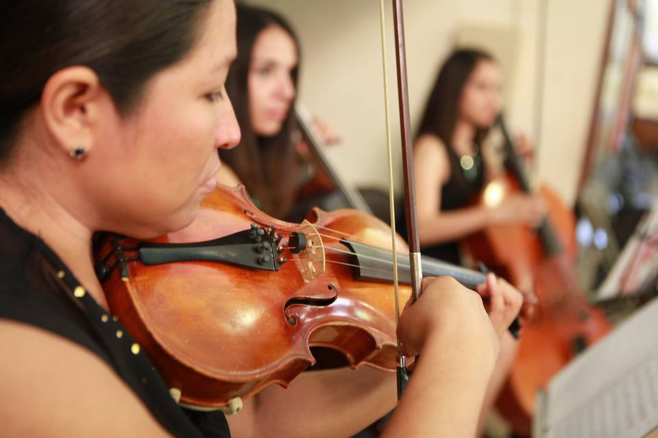 Lourdes tampico violines