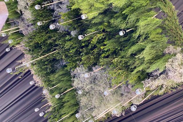 Ex hacienda ibarrilla