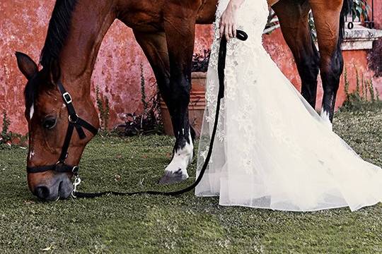 Novia tocando un caballo
