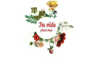 Da Vida logo