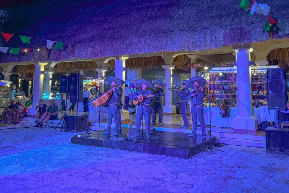 Fiesta M&C