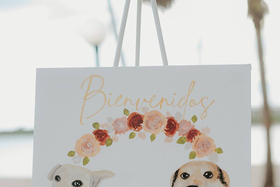 Bienvenida Z & M