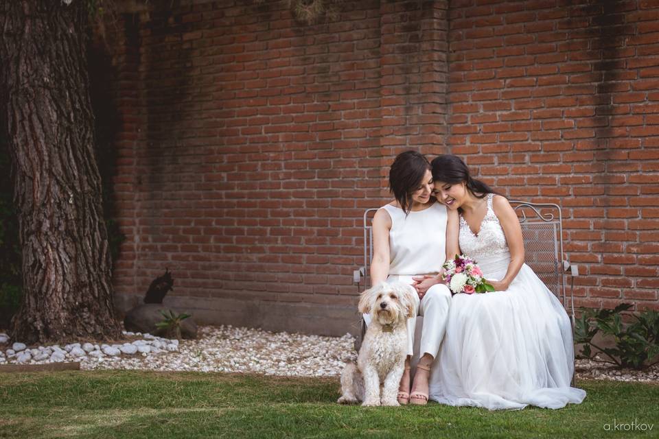 Las novias y su mascota bonita