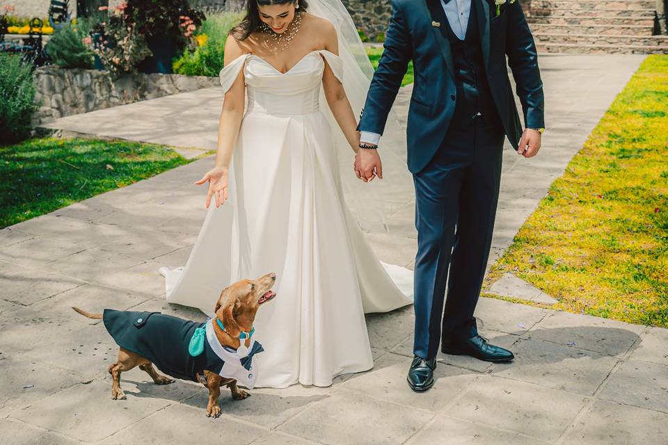 Pet friendly