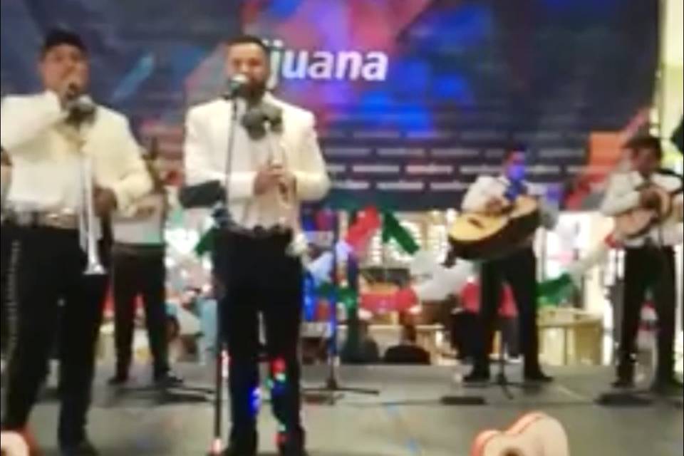 Mariachi Águila de Tijuana - Consulta disponibilidad y precios