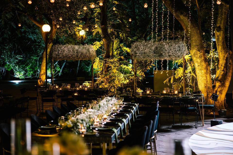 Thalia & René | Florida