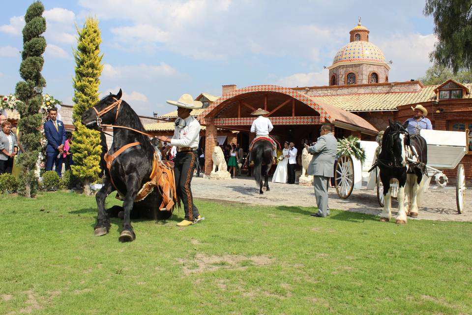 Transporte a caballo